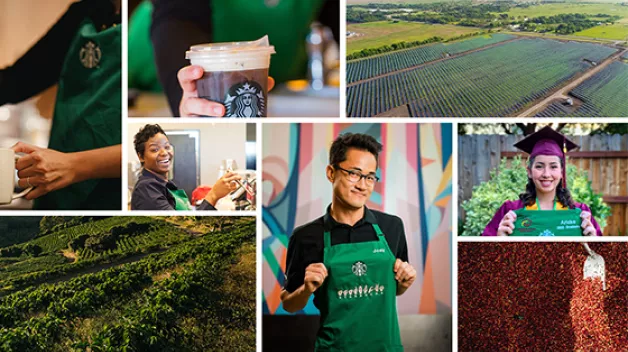 Responsibility Reporting